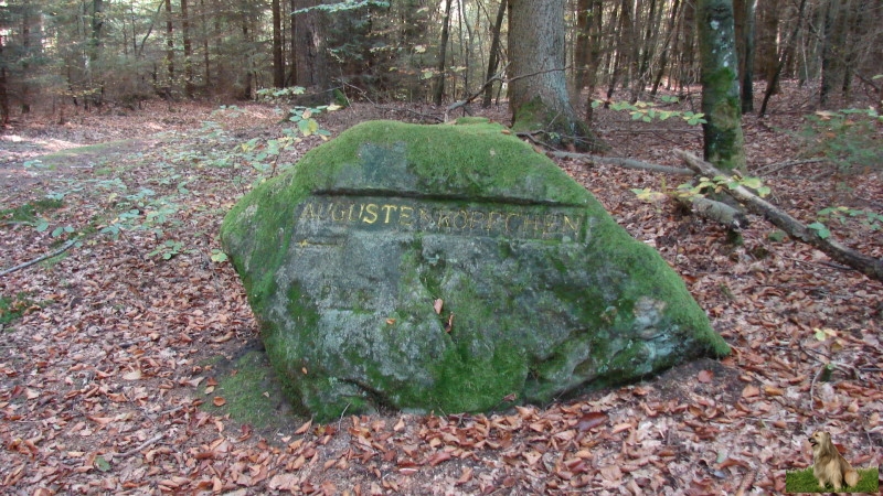 Ritterstein Nr. 123-2 Augustenköpfchen.JPG - Ritterstein Nr.123  Augustenköpfchen                               